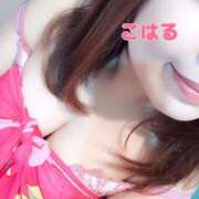 ヒメ日記 2025/08/26 15:30 投稿 こはる スイカ