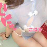 ヒメ日記 2025/10/25 13:24 投稿 こはる スイカ