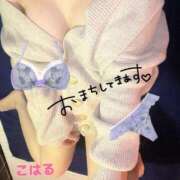 ヒメ日記 2025/11/05 16:20 投稿 こはる スイカ