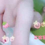 ヒメ日記 2025/12/02 16:20 投稿 こはる スイカ