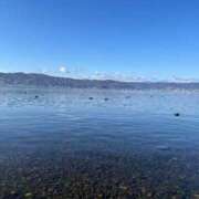 ヒメ日記 2025/12/05 16:00 投稿 こはる スイカ