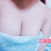 ヒメ日記 2025/12/17 16:16 投稿 こはる スイカ