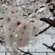 ヒメ日記 2025/04/02 18:35 投稿 ゆきの 妻天 日本橋店