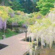 ヒメ日記 2025/05/01 09:30 投稿 ゆきの 妻天 日本橋店