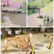 ヒメ日記 2025/05/02 05:29 投稿 ゆきの 妻天 日本橋店