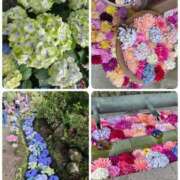 ヒメ日記 2025/06/12 12:54 投稿 ゆきの 妻天 日本橋店