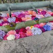 ヒメ日記 2025/06/13 08:57 投稿 ゆきの 妻天 日本橋店