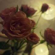 ヒメ日記 2025/10/09 06:07 投稿 ゆきの 妻天 日本橋店