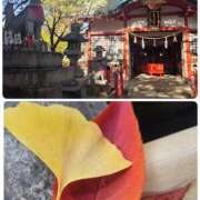 ヒメ日記 2025/12/02 05:54 投稿 ゆきの 妻天 日本橋店