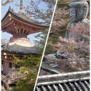 ヒメ日記 2026/04/09 16:39 投稿 ゆきの 妻天 日本橋店