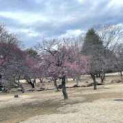 ヒメ日記 2026/02/03 01:10 投稿 くみ 甘い恋人　所沢店