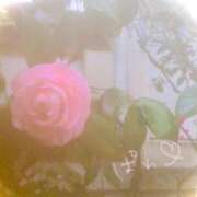 ヒメ日記 2025/03/26 11:34 投稿 ちづる リッチドールフェミニン