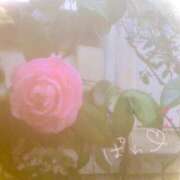 ヒメ日記 2025/03/26 11:47 投稿 ちづる リッチドールフェミニン