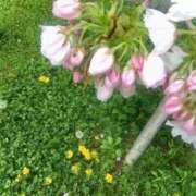 ヒメ日記 2025/06/01 04:46 投稿 ちづる リッチドールフェミニン