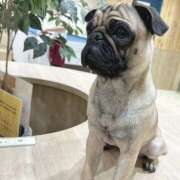 ヒメ日記 2024/12/12 01:20 投稿 牧瀬　りおな 昼下がりの情事