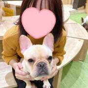 ヒメ日記 2024/12/12 09:46 投稿 牧瀬　りおな 昼下がりの情事