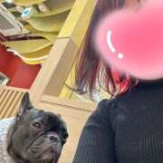 ヒメ日記 2025/01/28 12:52 投稿 牧瀬　りおな 昼下がりの情事