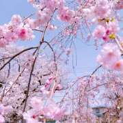 ヒメ日記 2025/04/08 17:13 投稿 牧瀬　りおな 昼下がりの情事