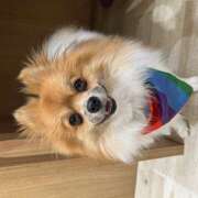 ヒメ日記 2025/04/15 14:19 投稿 牧瀬　りおな 昼下がりの情事