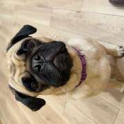 ヒメ日記 2025/06/01 20:48 投稿 牧瀬　りおな 昼下がりの情事