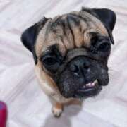 ヒメ日記 2025/10/01 14:42 投稿 牧瀬　りおな 昼下がりの情事