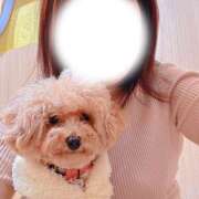 ヒメ日記 2025/11/02 13:04 投稿 牧瀬　りおな 昼下がりの情事