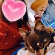 ヒメ日記 2025/12/24 11:20 投稿 牧瀬　りおな 昼下がりの情事