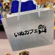 ヒメ日記 2026/01/04 12:50 投稿 牧瀬　りおな 昼下がりの情事