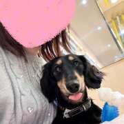 ヒメ日記 2026/02/16 14:33 投稿 牧瀬　りおな 昼下がりの情事