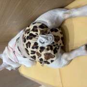 ヒメ日記 2026/09/14 21:29 投稿 牧瀬　りおな 昼下がりの情事