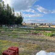 ヒメ日記 2025/01/21 19:03 投稿 つばさ 奥様電車