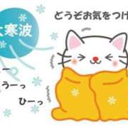 ヒメ日記 2025/02/04 19:33 投稿 つばさ 奥様電車