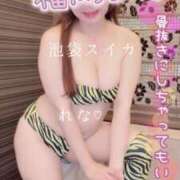 ヒメ日記 2025/01/26 01:12 投稿 れな スイカ