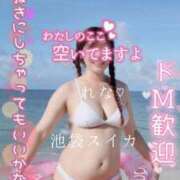 ヒメ日記 2025/07/25 05:26 投稿 れな スイカ