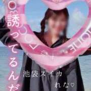 ヒメ日記 2025/07/29 09:39 投稿 れな スイカ