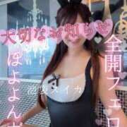 ヒメ日記 2025/11/19 20:15 投稿 れな スイカ