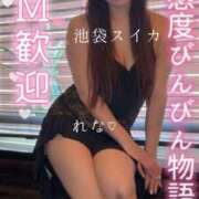 ヒメ日記 2026/04/21 05:45 投稿 れな スイカ