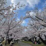 ヒメ日記 2025/04/04 01:27 投稿 ゆき 花の都～人妻の都～ 延岡店