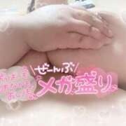 ヒメ日記 2025/09/04 02:31 投稿 じゅり 乳野家