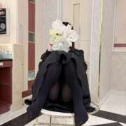 ヒメ日記 2026/03/16 10:20 投稿 かりん 宇都宮ムンムン熟女妻