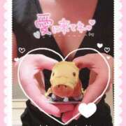 ヒメ日記 2025/04/04 13:02 投稿 篠田 みゆき club eyes