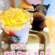 ヒメ日記 2026/04/01 10:37 投稿 篠田 みゆき club eyes