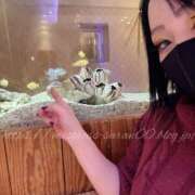 ヒメ日記 2024/12/20 11:07 投稿 沙爛女王様 Ishtar(イシュタル)