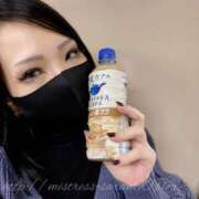 ヒメ日記 2026/02/08 23:58 投稿 沙爛女王様 Ishtar(イシュタル)