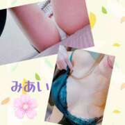 ヒメ日記 2025/03/23 14:55 投稿 みあい 藤沢人妻城