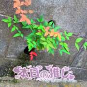 ヒメ日記 2025/10/11 12:40 投稿 山内みな 扉の向こう側