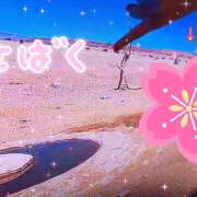 ヒメ日記 2026/03/25 18:47 投稿 山内みな 扉の向こう側