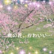 ヒメ日記 2025/04/08 17:14 投稿 かりん 甲府人妻隊