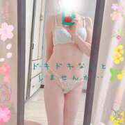 ヒメ日記 2025/04/16 10:41 投稿 かりん 甲府人妻隊