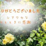 ヒメ日記 2025/05/16 07:44 投稿 かりん 甲府人妻隊